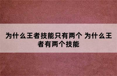 为什么王者技能只有两个 为什么王者有两个技能